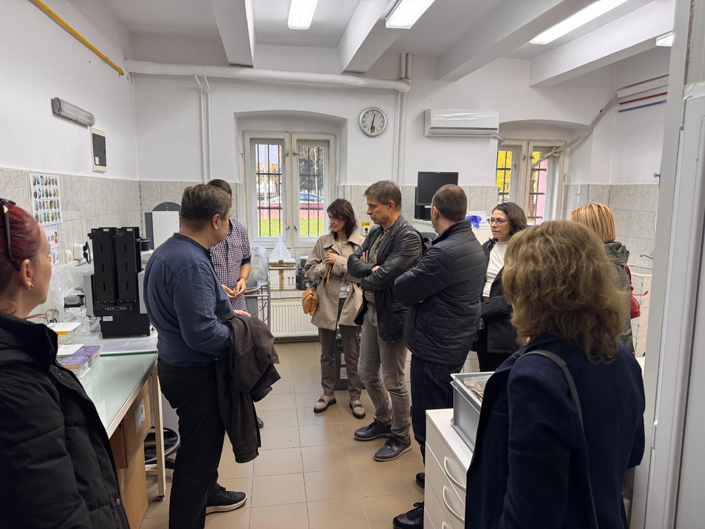 Diaspora conference image